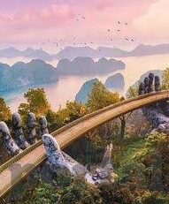 成人一级视频-成人教育新视角,探索一级视频资源在终身学习中的潜在价值